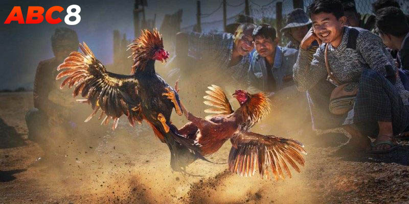 Cung cấp chiến thuật thực sự hiệu quả cho thành viên