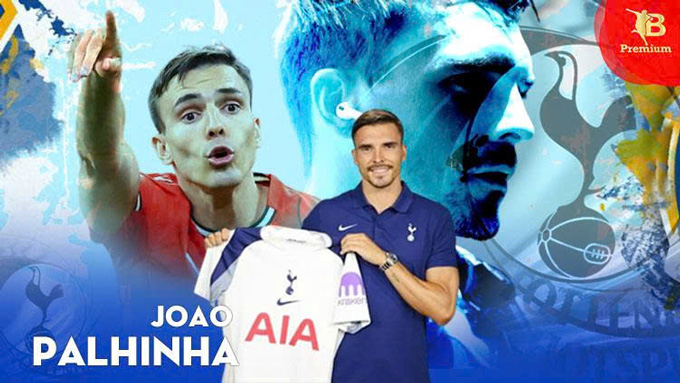 Tottenham borrowed Palhinha from Bayern